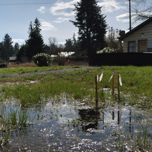 landscape-lawn-drainage-issues-Kansas-City-Overland-Park