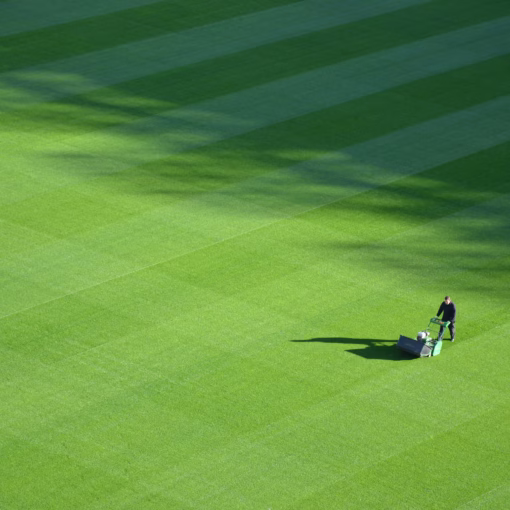lawn-care-landscaping-landscape-design-Kansas-City-Overland-Park