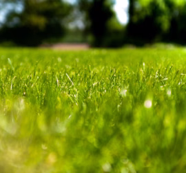 lawn-care-landscaping-landscape-maintenance-outdoor-living-space-KC-KCMO-Kansas-City-Overland-Park