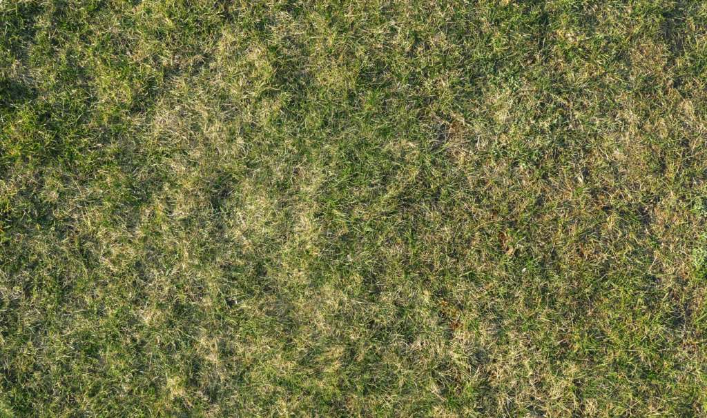 lawn-care-landscape-maintenance-Kansas-City-Overland-Park-Olathe-Leaowod