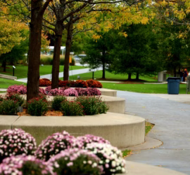 Kansas-City-mulch-delivery-lawn-care-landscape-maintenance