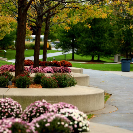 Kansas-City-mulch-delivery-lawn-care-landscape-maintenance